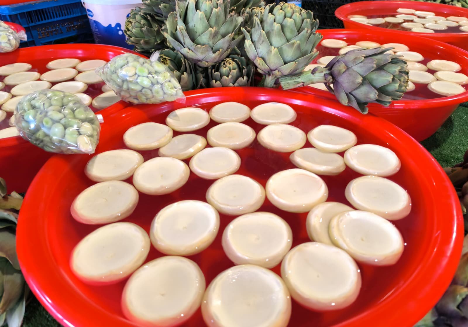 Whatsapp Image 2026 04 30 At 10.22.26 (1)