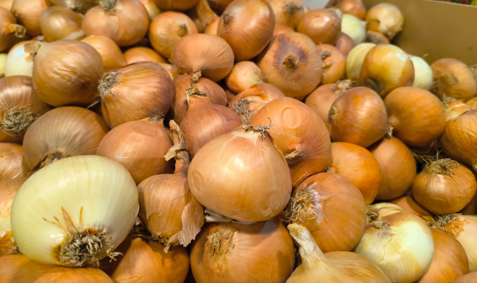 Whatsapp Image 2026 04 30 At 10.22.27 (1)