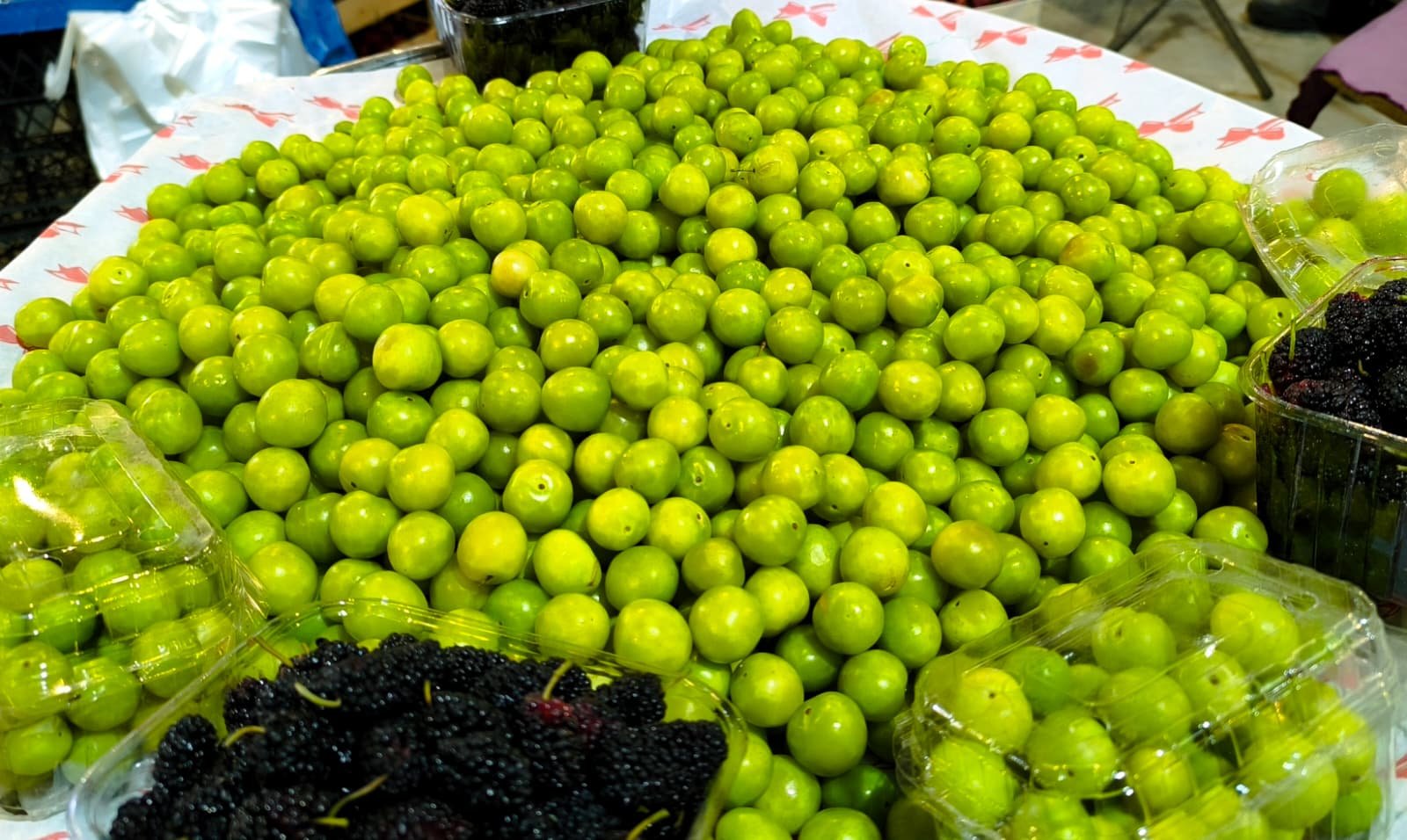 Whatsapp Image 2026 04 30 At 10.22.28 (2)