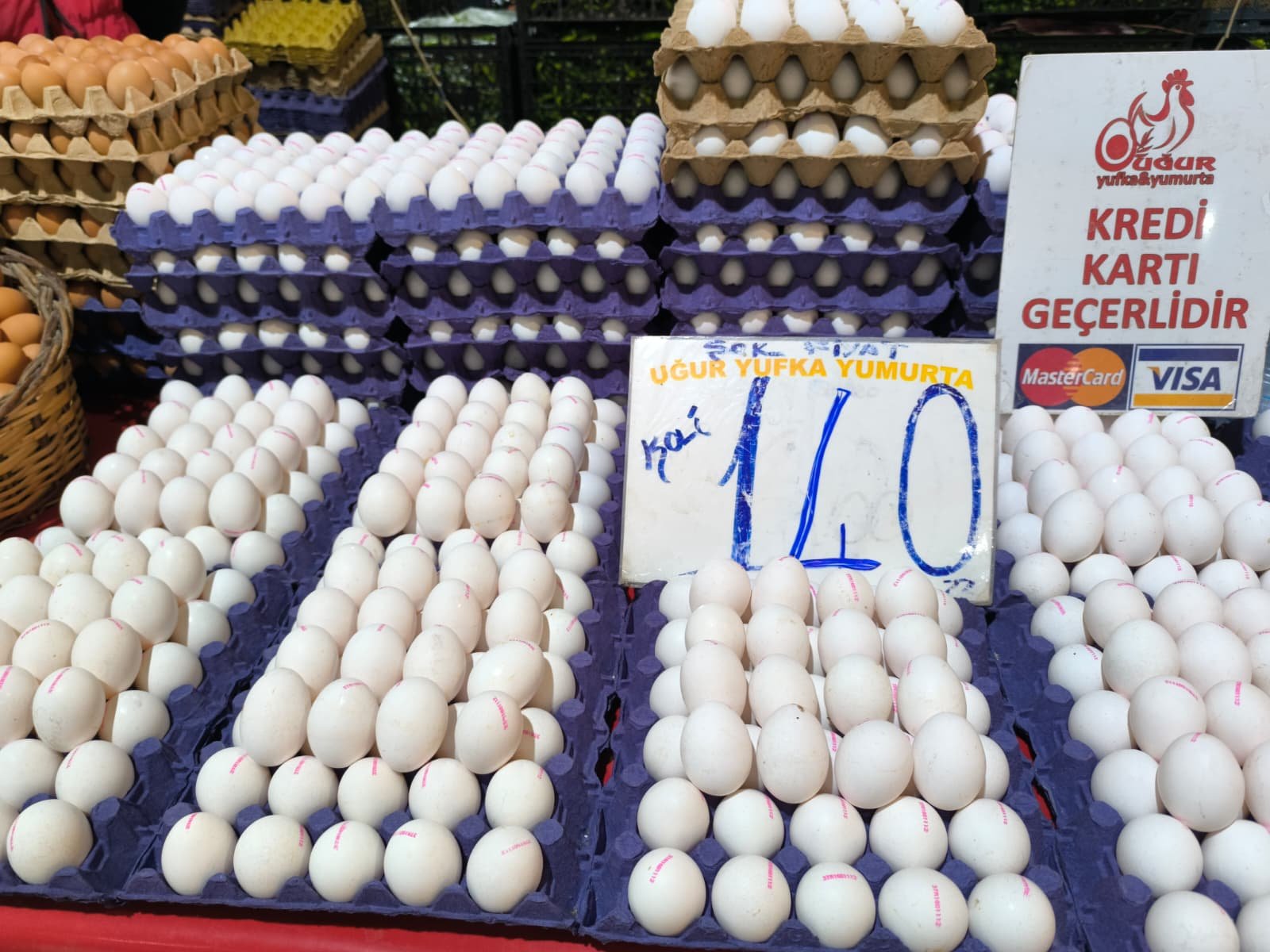 Whatsapp Image 2026 04 30 At 10.22.29 (1)