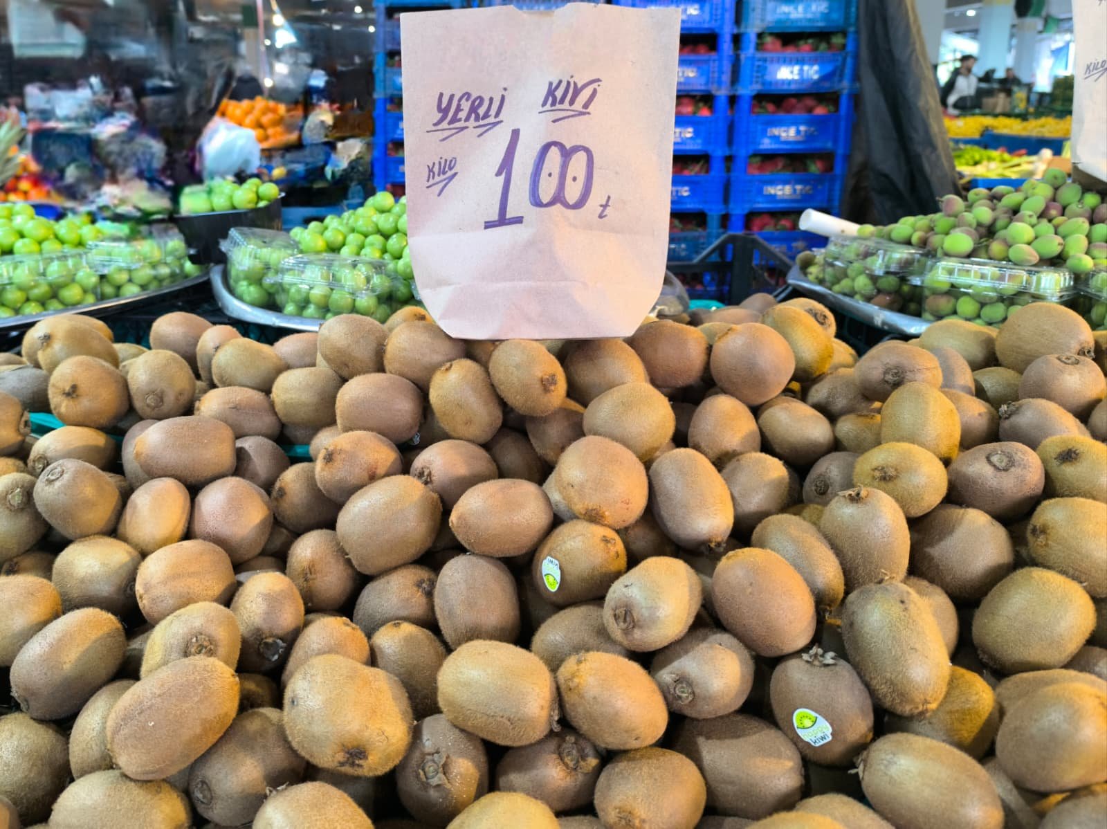 Whatsapp Image 2026 04 30 At 10.22.29 (3)