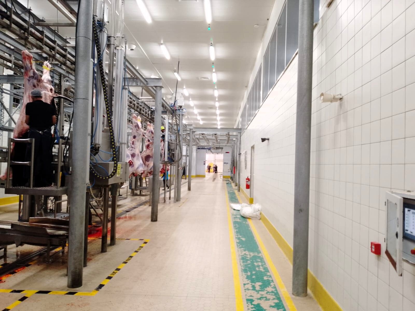 Büyükşehir Mezbahası’nda Kurban Kesim Işlemi Tamam (1)
