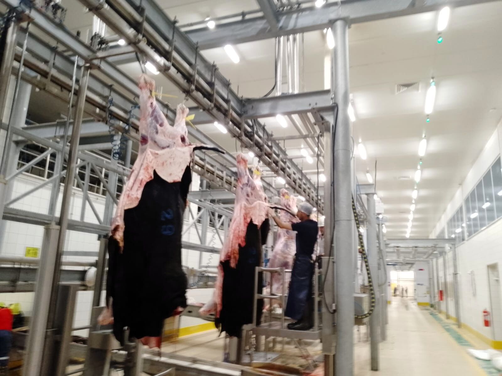 Büyükşehir Mezbahası’nda Kurban Kesim Işlemi Tamam (2)