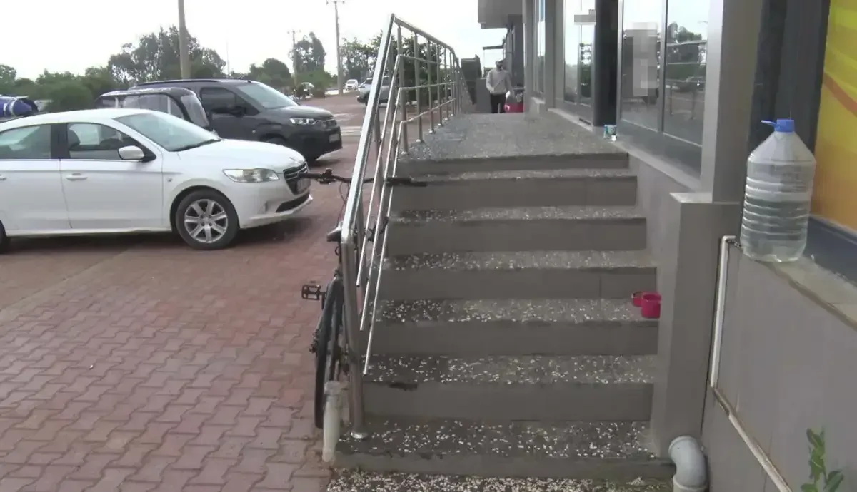 Kedinin Ustune Basti Kopegi Tekmeledi 3