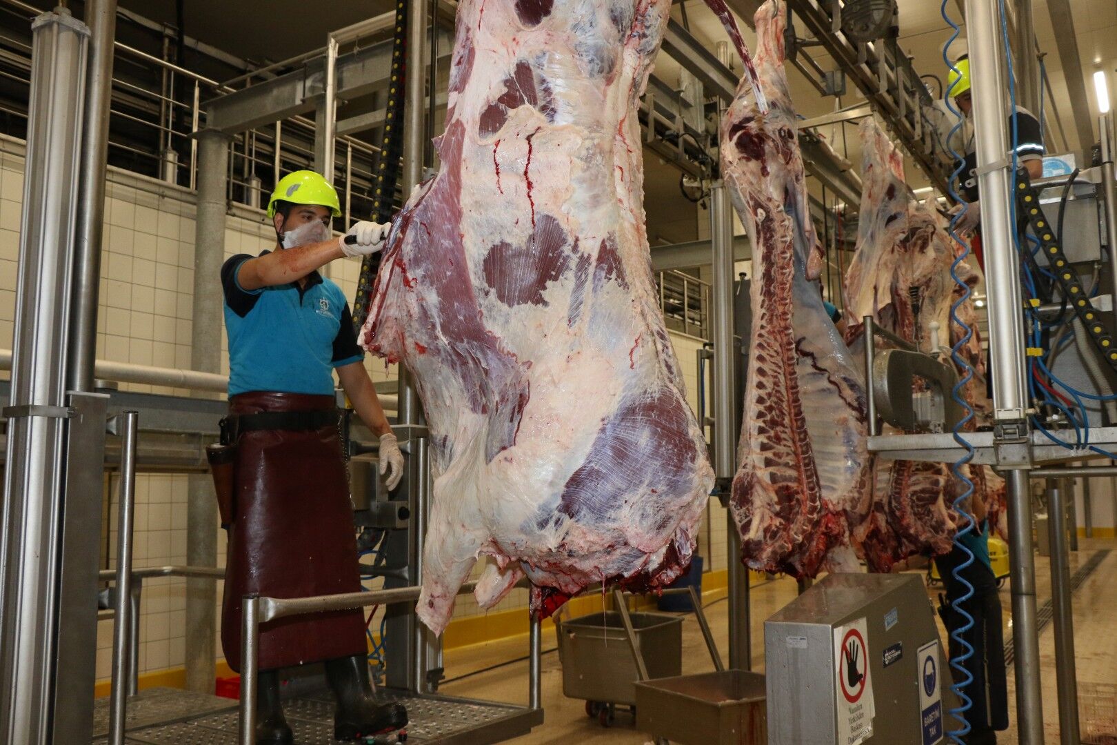Kurban Kesim Başvuruları 11 Mayıs’ta Başlıyor (3)