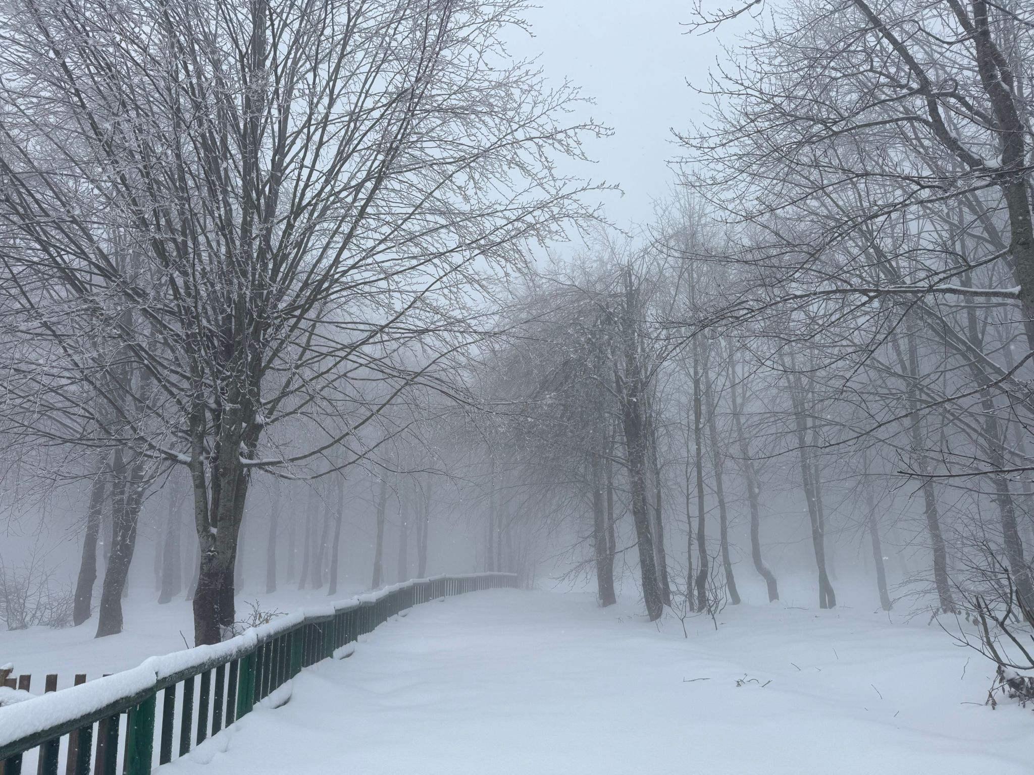Kuzuyayla’da 4 Mevsim Tek Noktada (7)