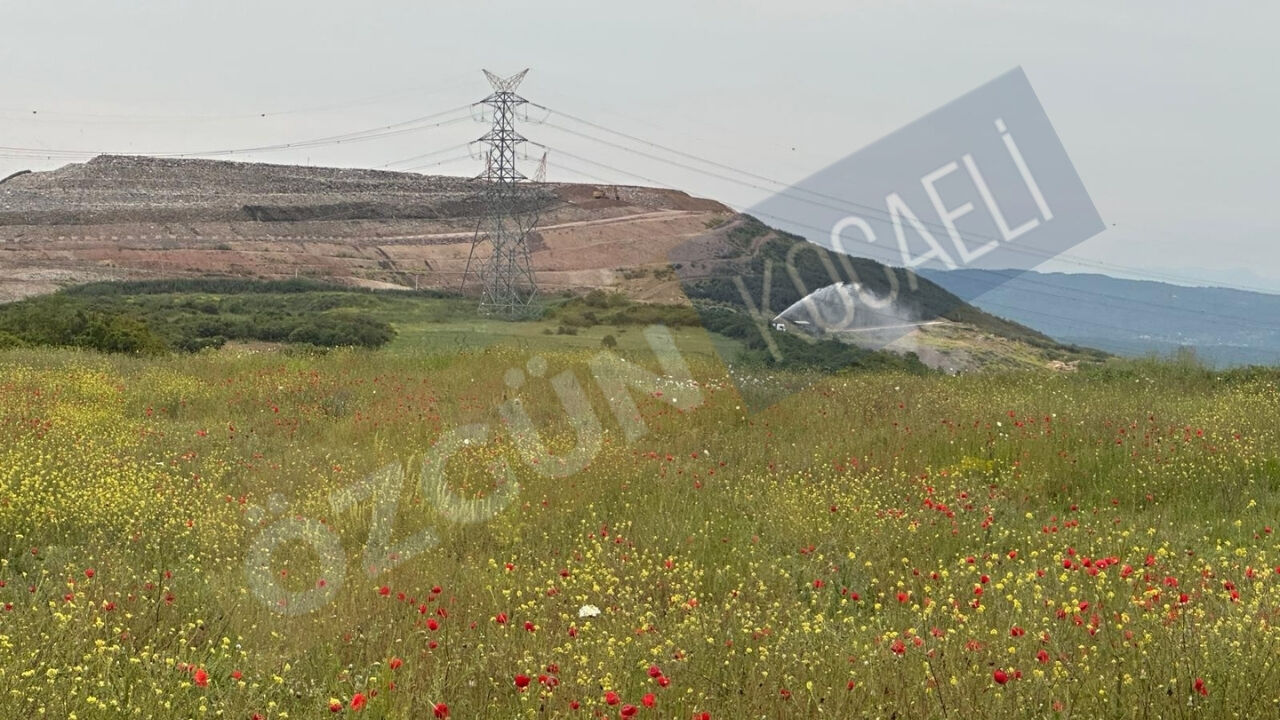 Nc Manşet Görsel-35