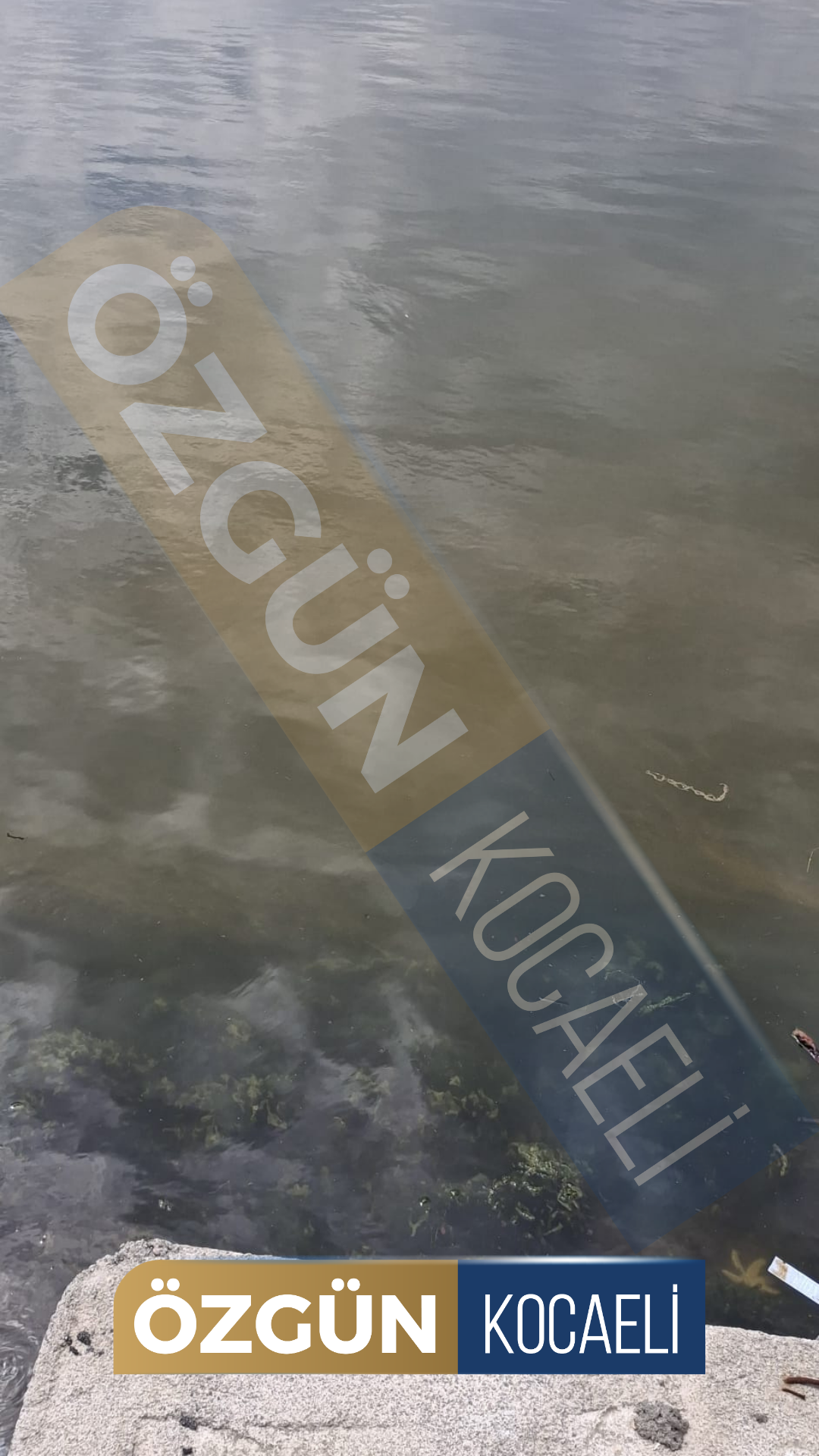 Özgün Kocaeli Hikaye Şablonu 2026 05 08T133454.004