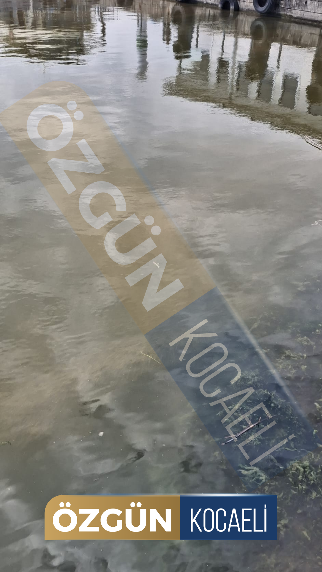 Özgün Kocaeli Hikaye Şablonu 2026 05 08T133501.432