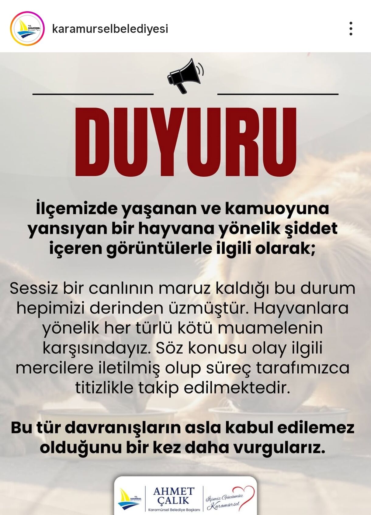 Whatsapp Image 2026 05 04 At 21.01.27