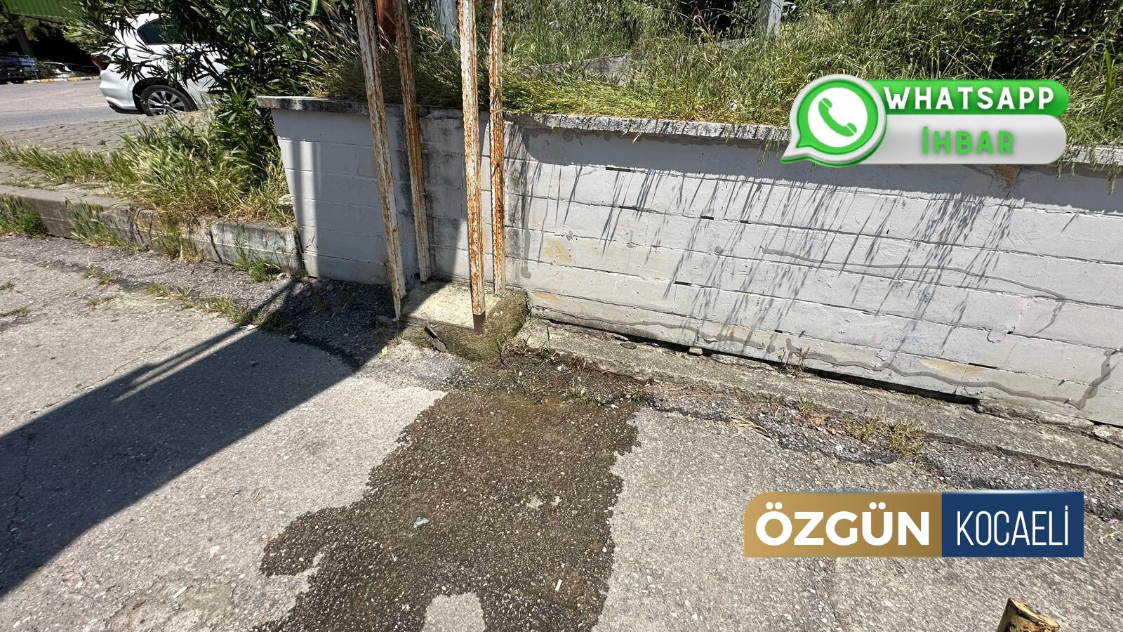 Znknws 2026 05 28T142030.197