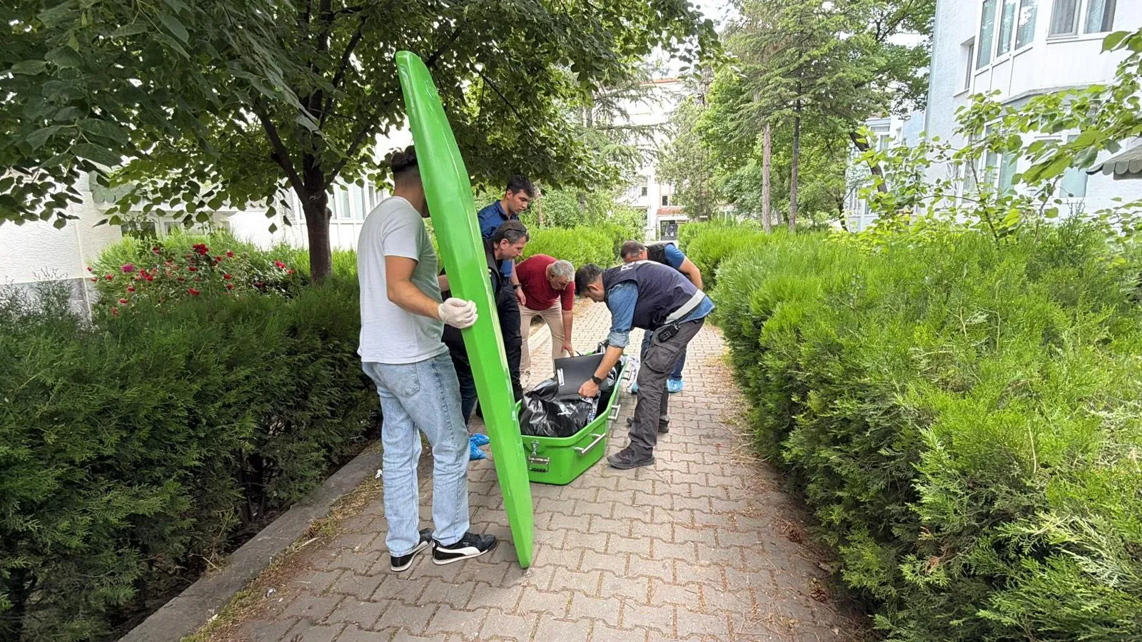 389887551 1781184322