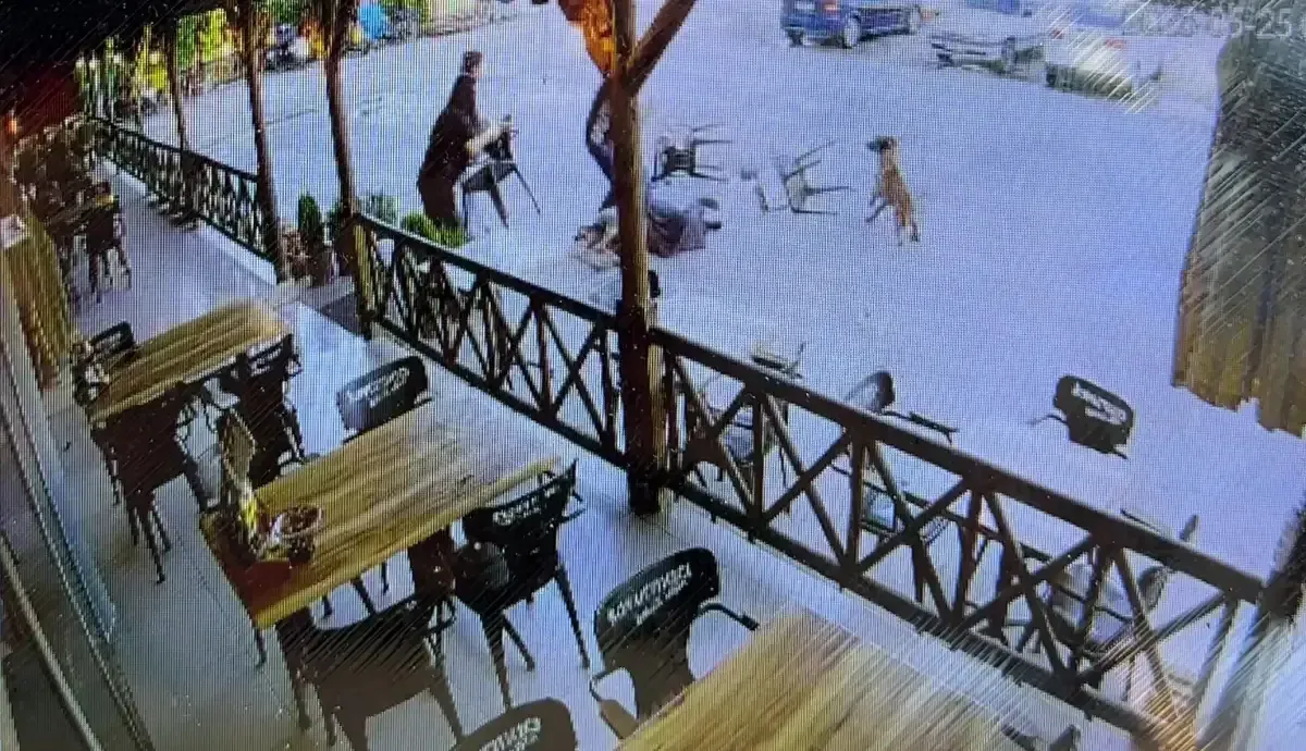 Dinlenme Tesisinde Kopek Dehseti Kadinin Kolu Koparildi 7