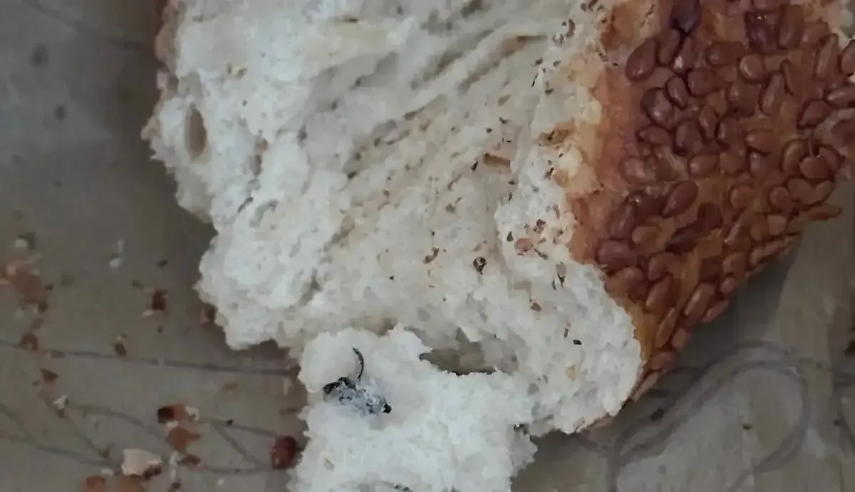 Gida Skandali Simitten Cikan Sinek Soka Dusurdu 3 Kocaeligundem