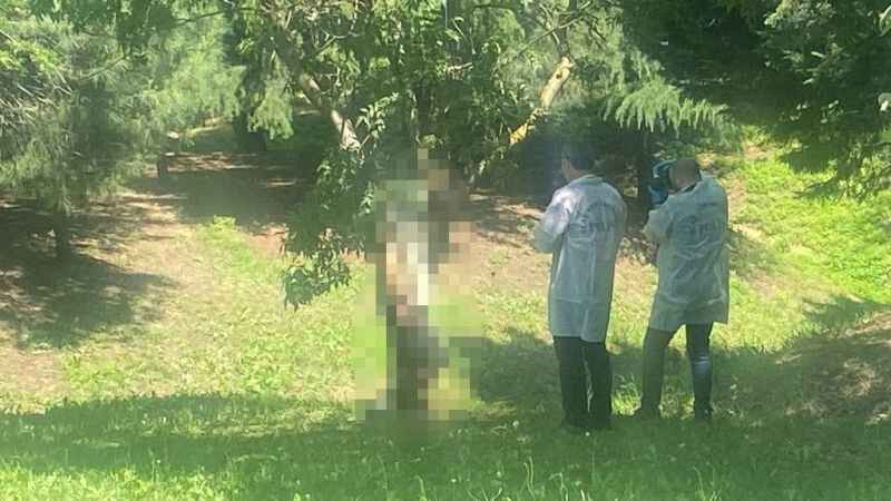Kocaeli'de Bir Kişi Ağaca Asılı Halde Bulundu!