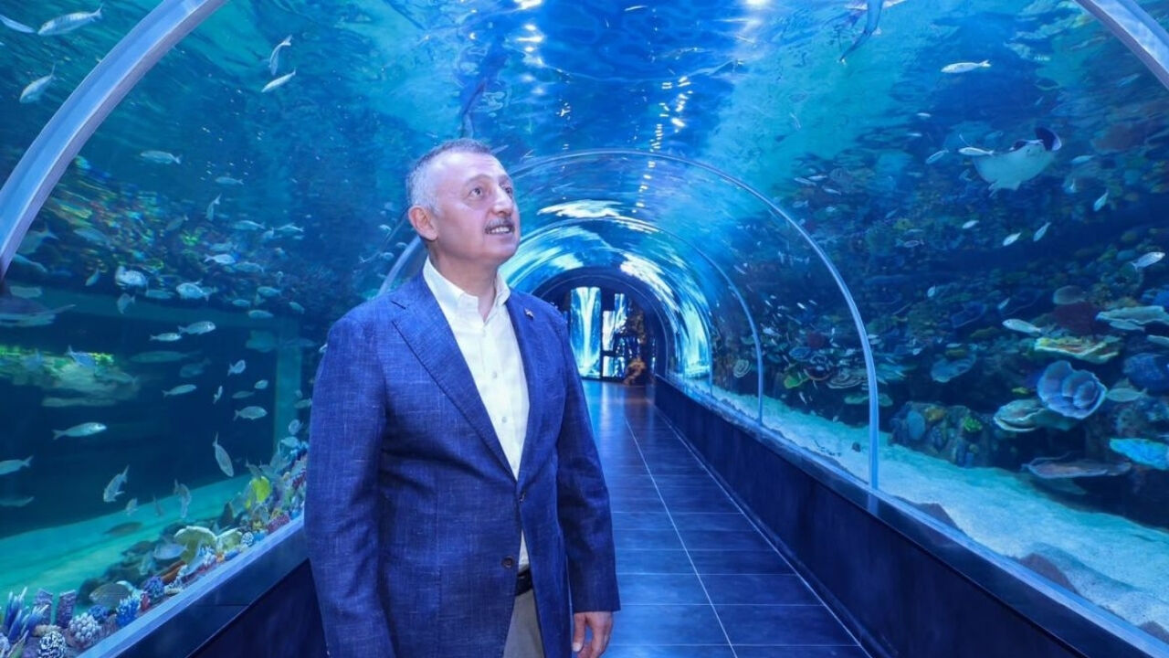 Korfez Aqua Ucretleri