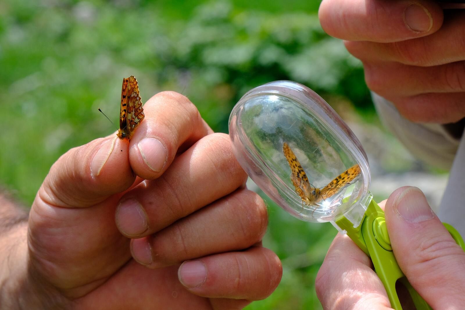 Kuzuyayla’da Doğa Adım Adım Incelendi (9)