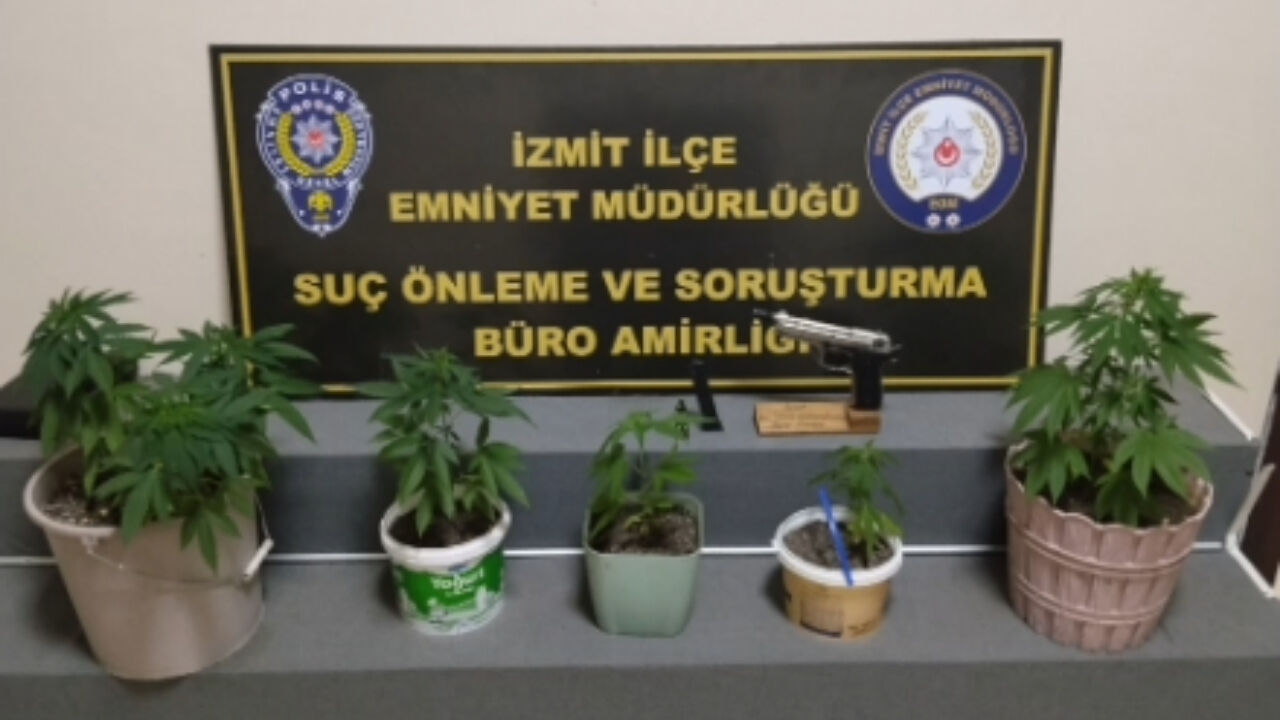 Saksıdaki Kenevire Polis Baskını