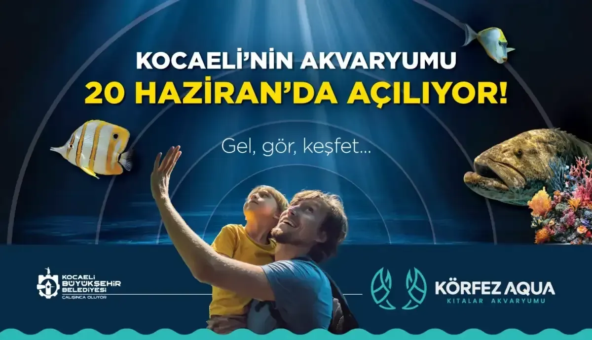 Zmite 13 Milyon Litrelik Dev Akvaryum Iste Giris Ucretleri Ve Detaylar 2