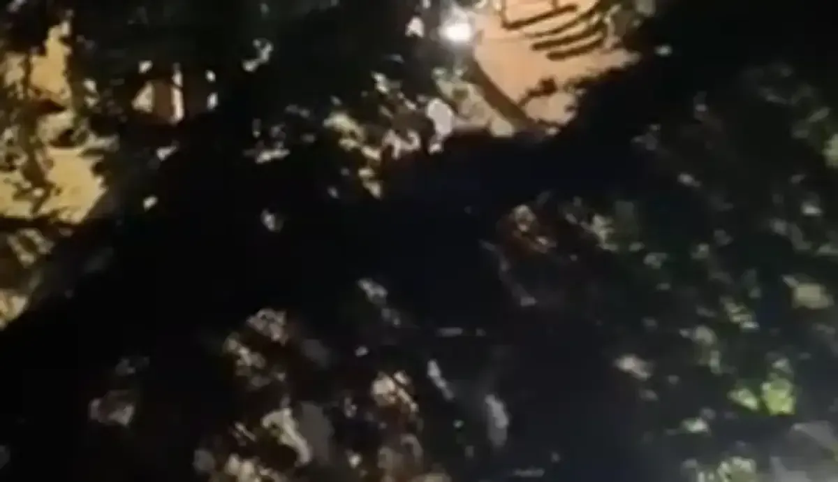 Coskulu Asker Eglencesi Yerini Arbedeye Birakti Gencler Birbirine Girdi 4