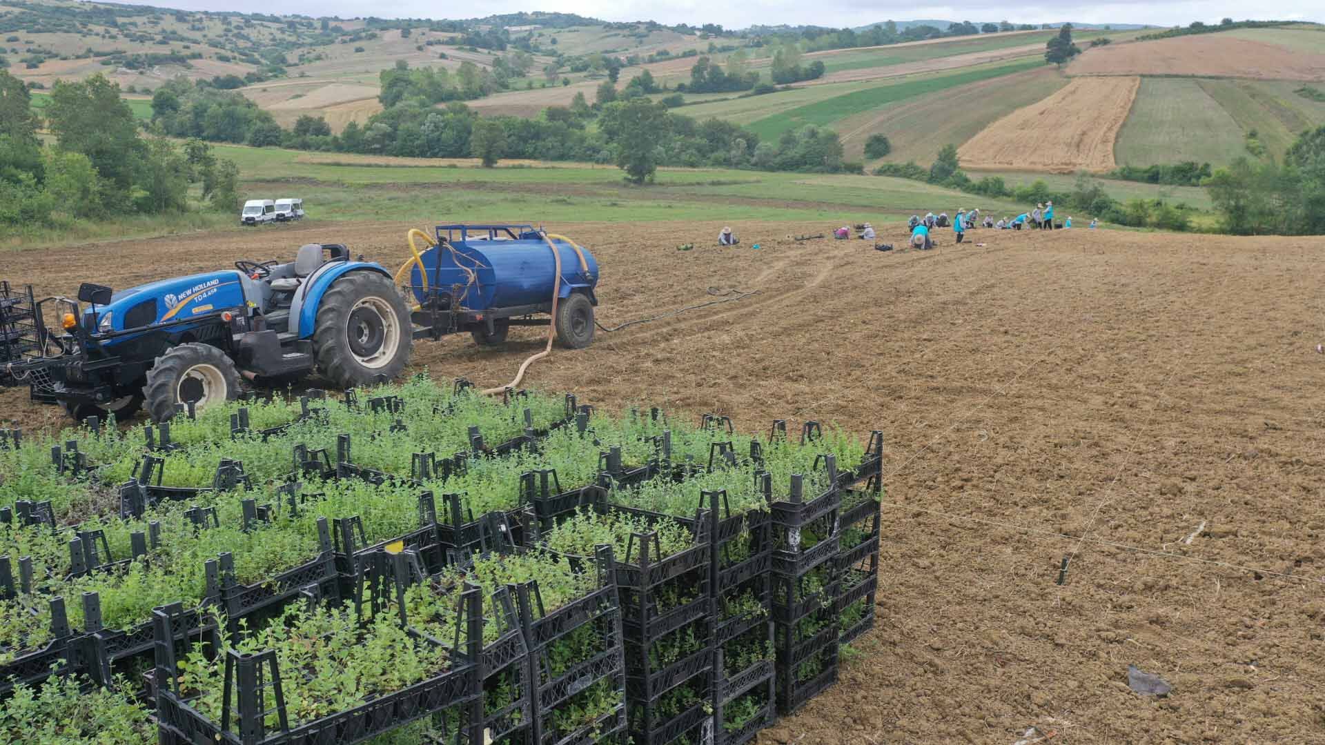 Kocaeli Büyükşehir, Tarımı Geleceğe Taşıyor (6)