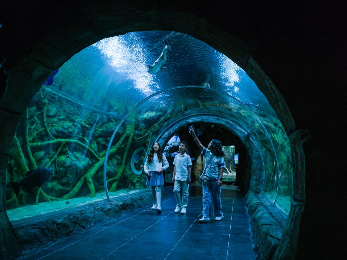 Körfez Aqua (2)