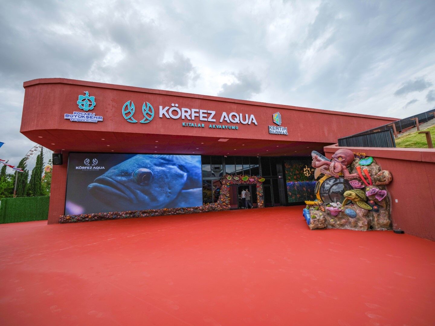 Körfez Aqua (4)