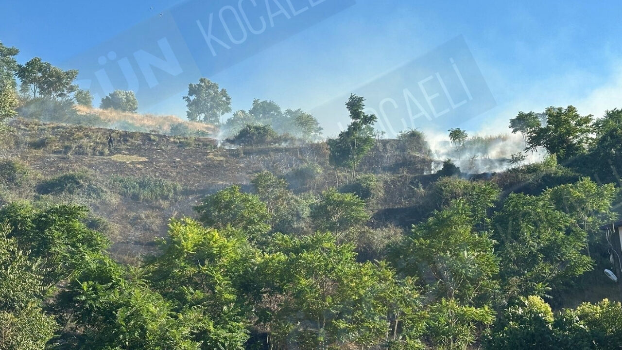 Nc Manşet Görsel 2-34