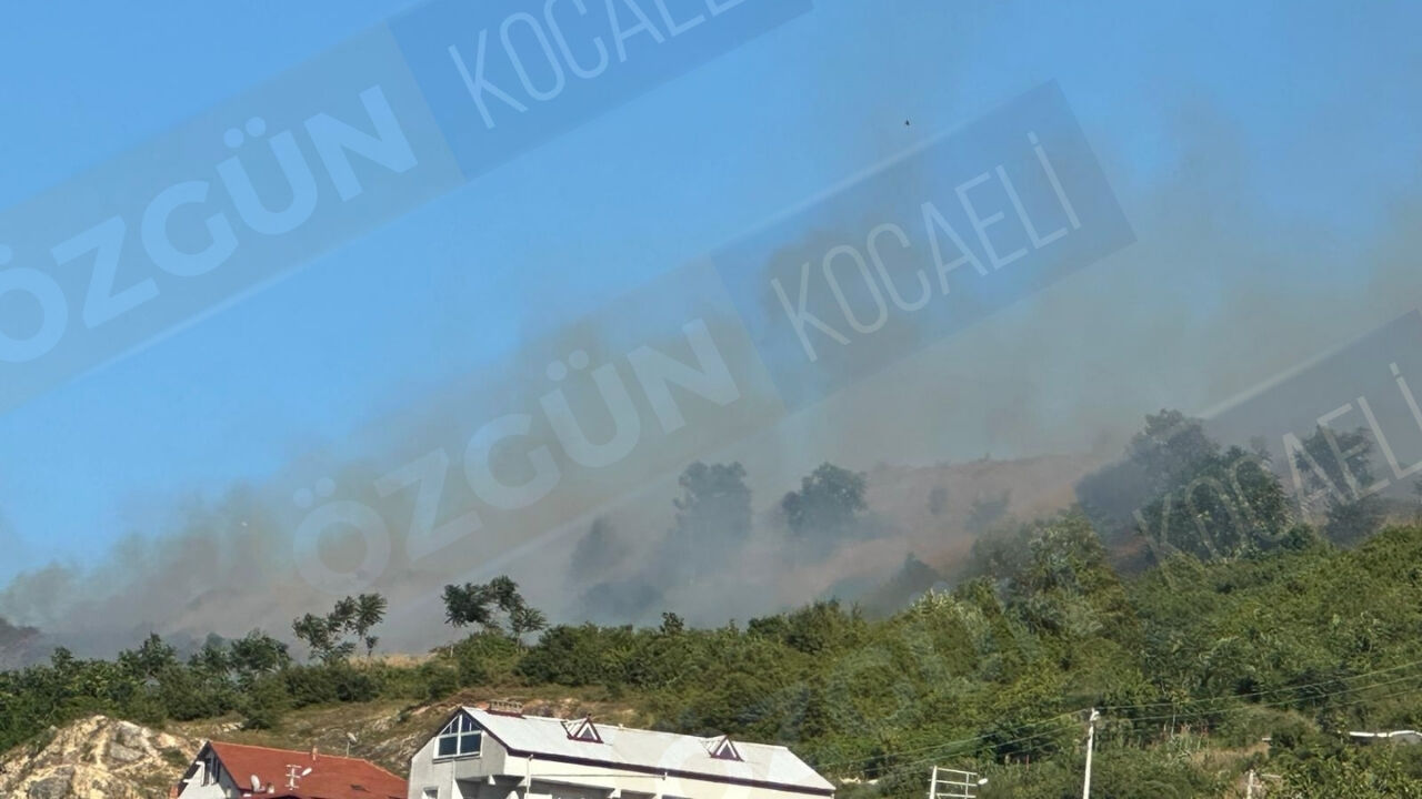 Nc Manşet Görsel-70