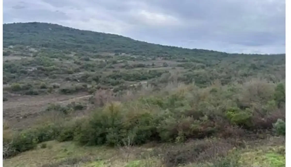 Valilik Ve Buyuksehir Korfezde Kirec Ocagina Izin Vermed 4 Kocaeligundem