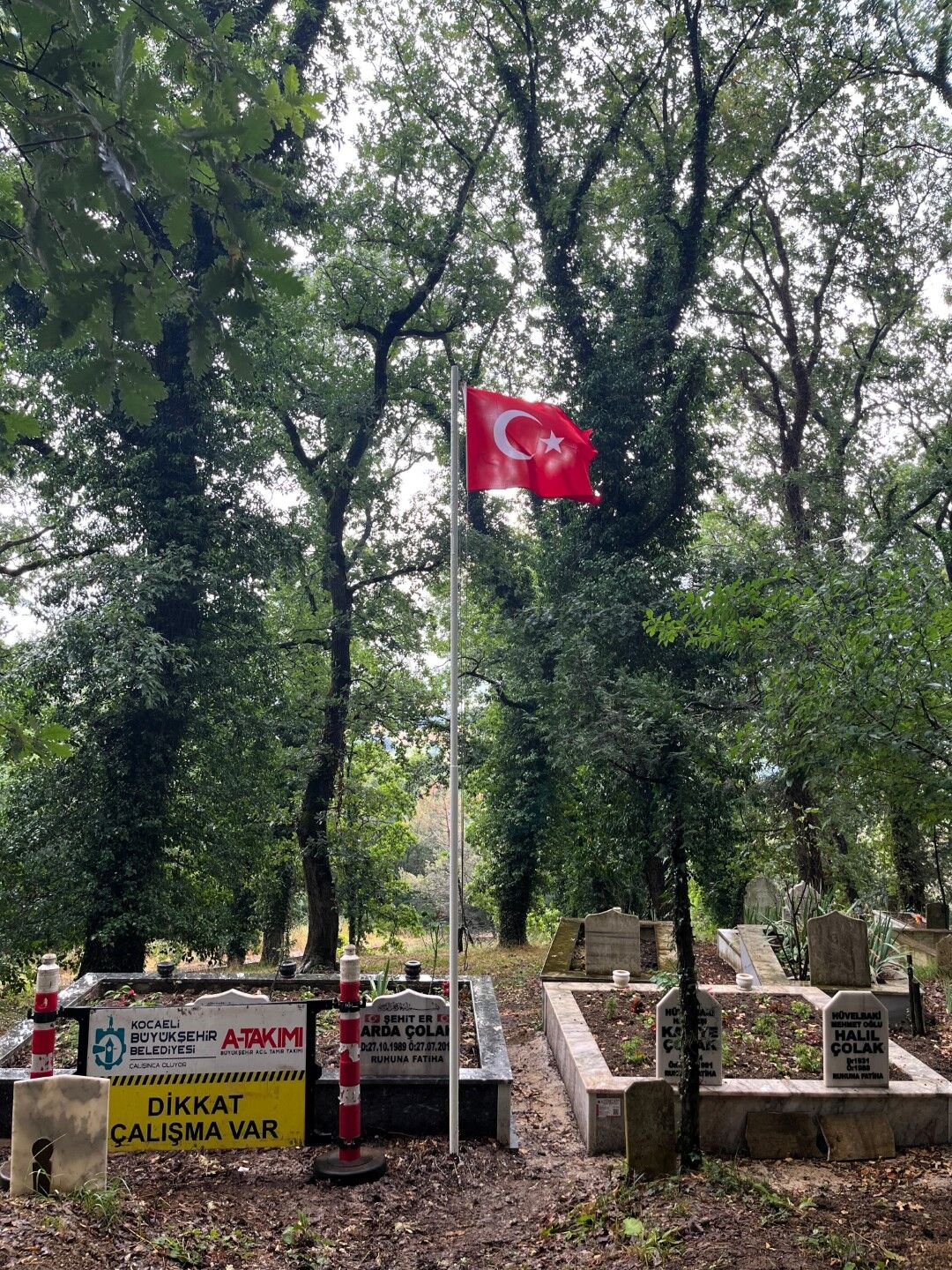Yeni Hali